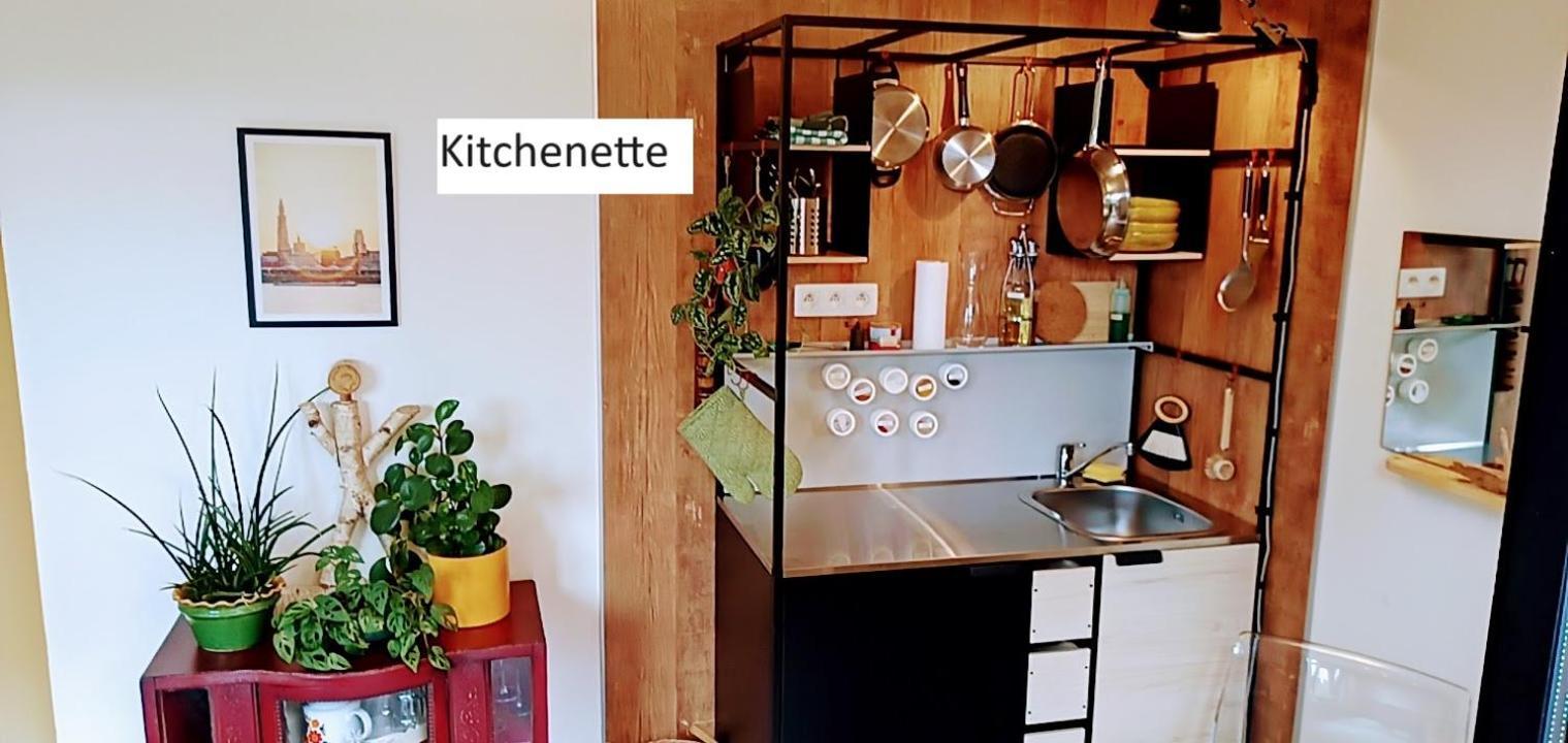 Lodgerivierenhof Antwerpia Zewnętrze zdjęcie